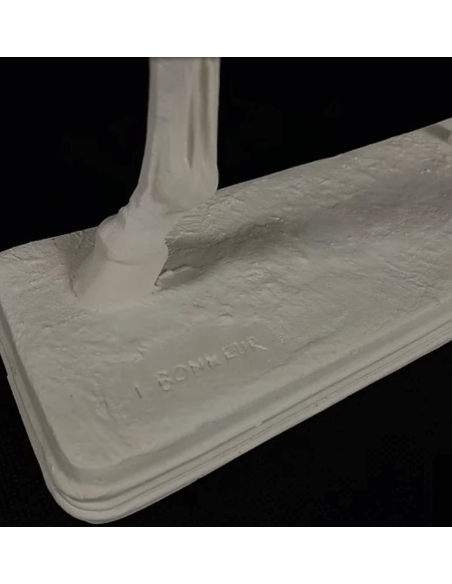 Caballo despellejado por Isidore Bonheur