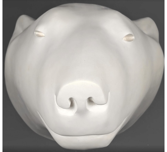 Polar bear head by François Pompon