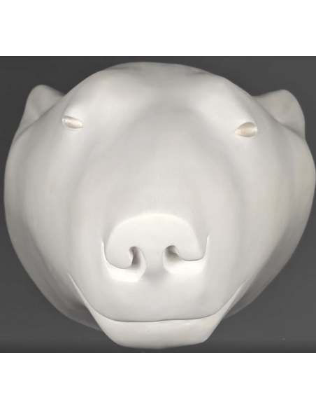 Tête ours blanc par François Pompon Tête ours blanc par François Pompon