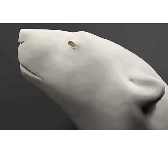 Polar bear head by François Pompon