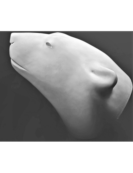 Tête ours blanc par François Pompon Tête ours blanc par François Pompon