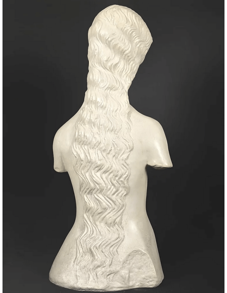 Torse de jeune femme nue dite Torse de Eve Torse de jeune femme nue dite Torse de Eve