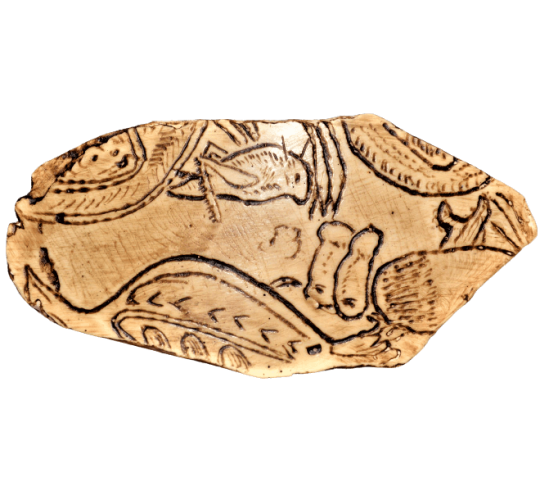 Engraving of grasshopper and birds - cave of Enlène