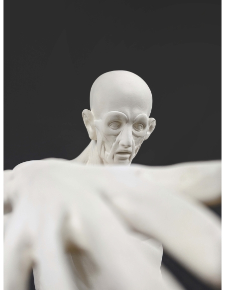 The Flayed man or l'Ecorché, inspired by Jean-Antoine Houdon The Flayed man or l'Ecorché, inspired by Jean-Antoine Houdon