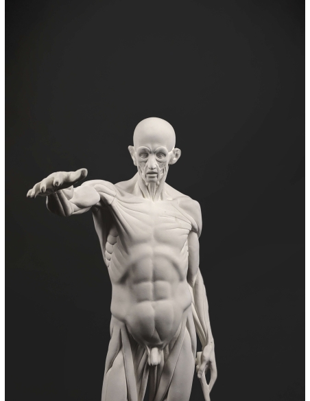 The Flayed man or l'Ecorché, inspired by Jean-Antoine Houdon The Flayed man or l'Ecorché, inspired by Jean-Antoine Houdon