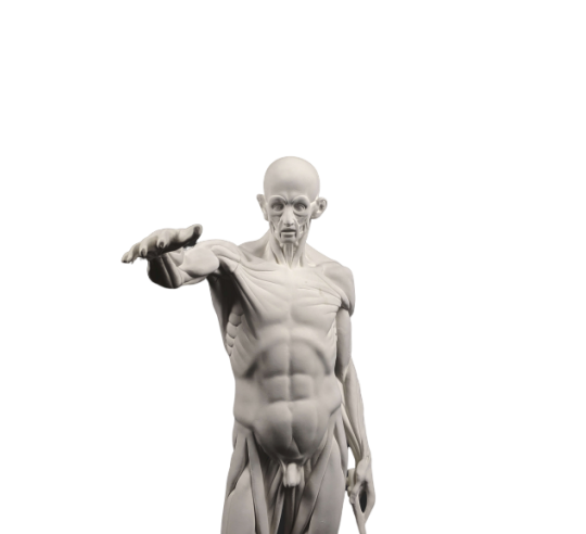 El Desollado o l'Écorché, inspirado por Jean-Antoine Houdon