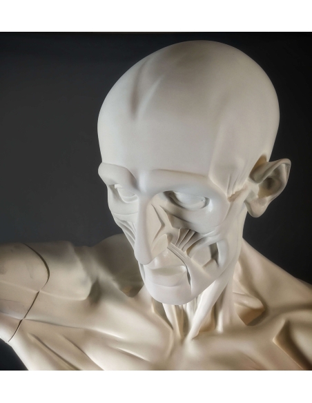 The Flayed man or l'Ecorché, inspired by Jean-Antoine Houdon The Flayed man or l'Ecorché, inspired by Jean-Antoine Houdon