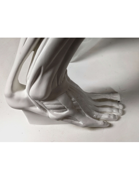 L'Écorché, par Jean-Antoine Houdon L'Écorché, par Jean-Antoine Houdon