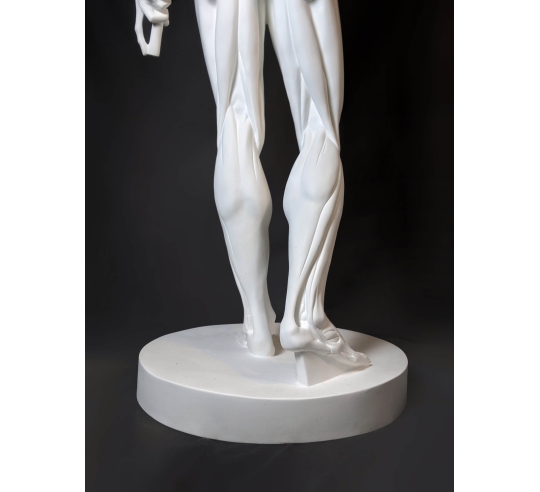 El Desollado o l'Écorché, inspirado por Jean-Antoine Houdon