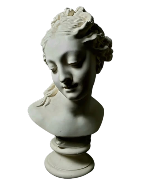 Bust of Venus leaving the bath after Christophe-Gabriel Allegrain.