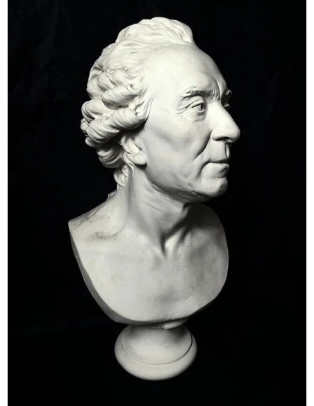 Bust of the Count of Buffon by Jean-Antoine Houdon.