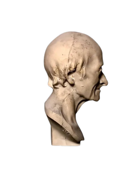 Buste de François-Marie Arouet, dit Voltaire d'après Jean-Antoine Houdon.