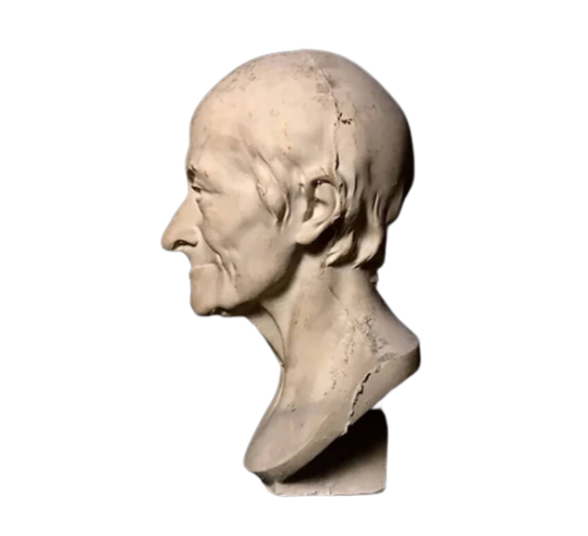 Buste de François-Marie Arouet, dit Voltaire...