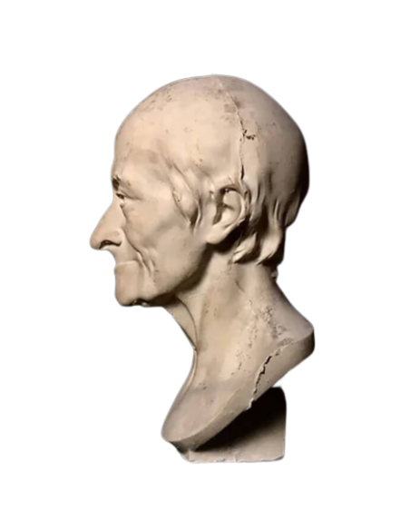 Buste de François-Marie Arouet, dit Voltaire d'après Jean-Antoine Houdon.