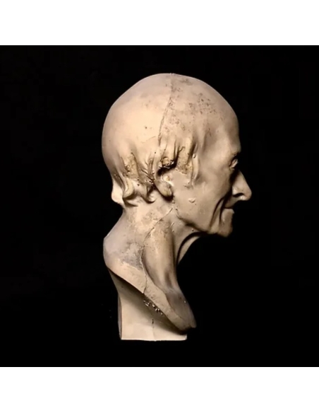 Buste de François-Marie Arouet, dit Voltaire d'après Jean-Antoine Houdon.