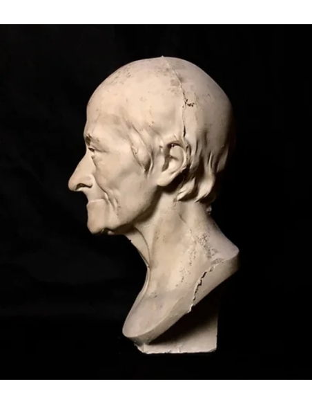 Buste de François-Marie Arouet, dit Voltaire d'après Jean-Antoine Houdon.