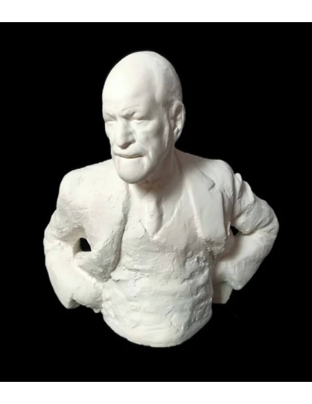 Buste de Sigmund Freud.