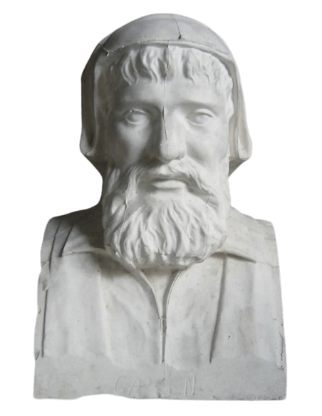 Busto de Claudio Galeno, médico griego.