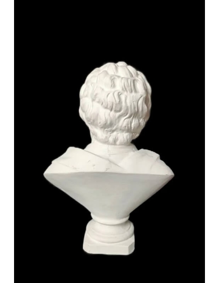 Buste de Johann Wolfgang Von Goethe.