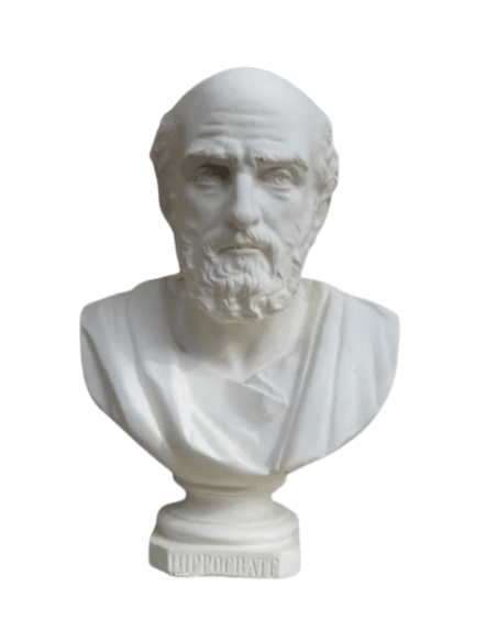 Buste d'Hippocrate
