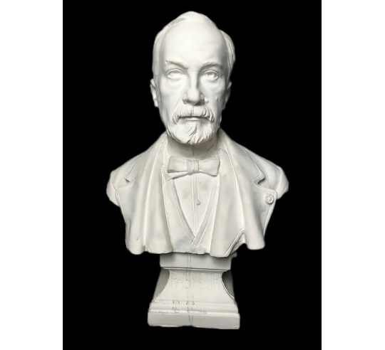 Buste de Louis Pasteur d'après François...