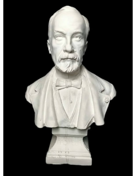 Busto de Louis Pasteur según François Alphonse Piquemal.