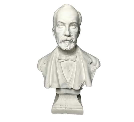 Busto de Louis Pasteur según François Alphonse...