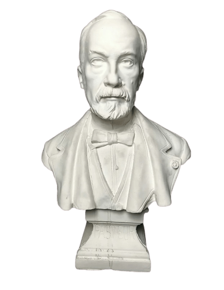 Busto de Louis Pasteur según François Alphonse Piquemal.