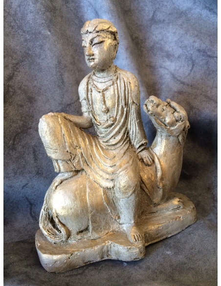 Hombre montado a camello