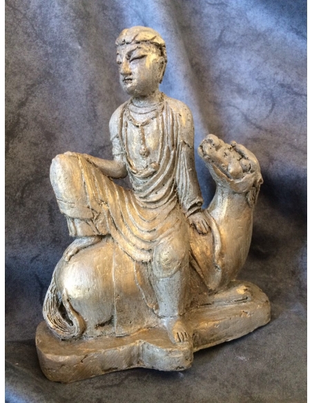 Hombre montado a camello