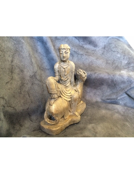 Hombre montado a camello