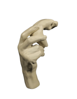 Escultura de la mano de Rodin sosteniendo un torso...