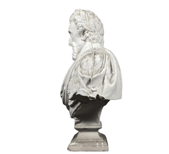 Bust of Henri IV king of France, head laureate,...