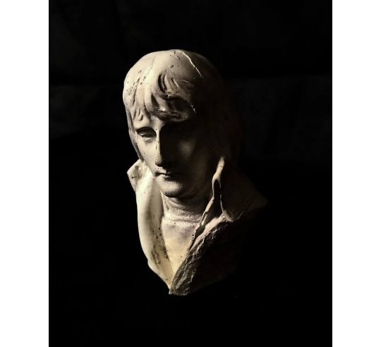 Bust of Napoleon Bonaparte, Brigadier General