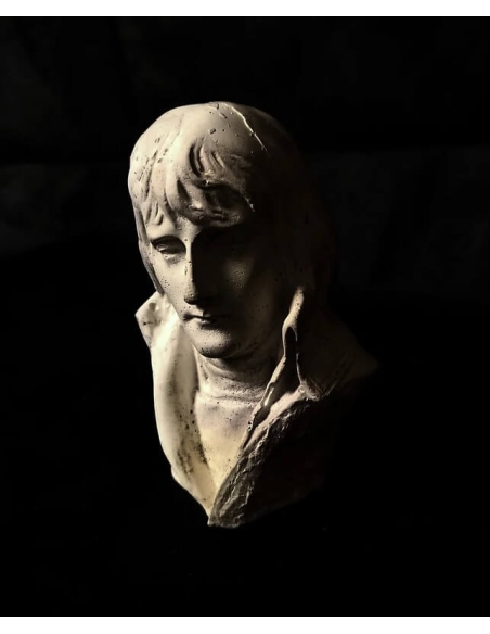 Bust of Napoleon Bonaparte, Brigadier General