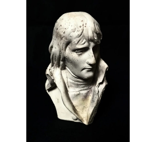 Bust of Napoleon Bonaparte, Brigadier General