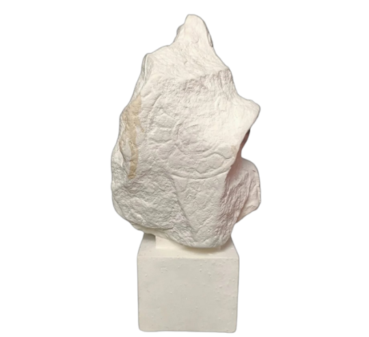 Tête de Bouddha protégé par le Naga, Art Khmer