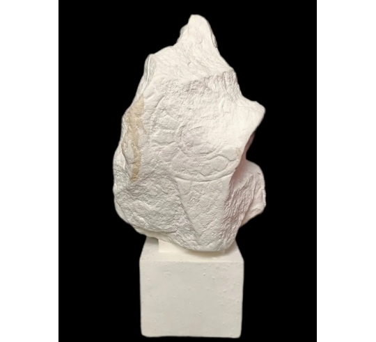 Tête de Bouddha protégé par le Naga, Art Khmer