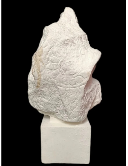 Tête de Bouddha protégé par le Naga, Art Khmer