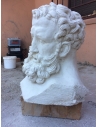 Buste d'Hercules
