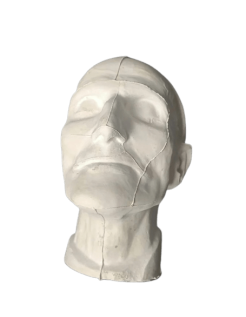 Masque mortuaire de Georges Cuvier sur son lit de mort.