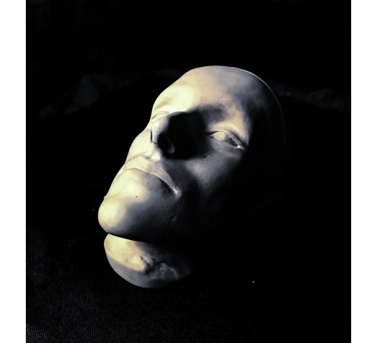 Mortuary mask of Napoleon II nicknamed the...