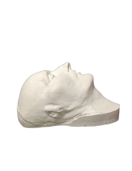 Mortuary mask of Napoleon Bonaparte, known as Napoleon I.