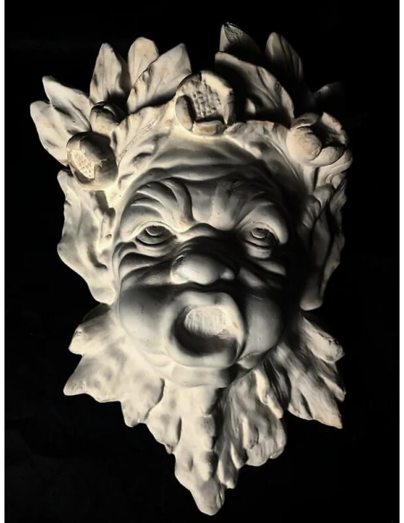 Mask of water genius.