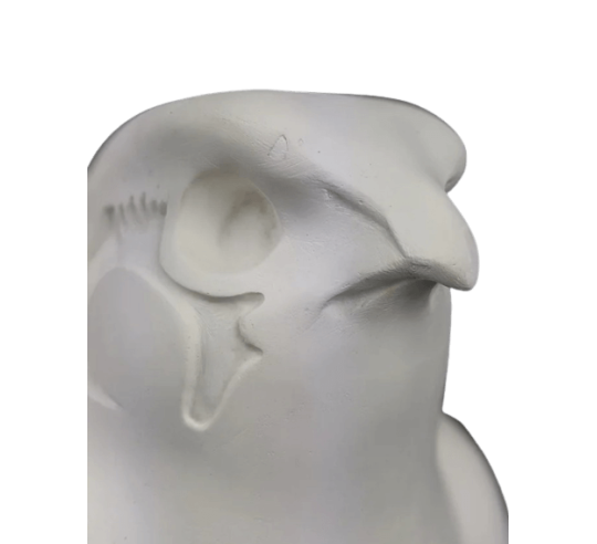 Statue of the god Horus protecting the Egyptian...