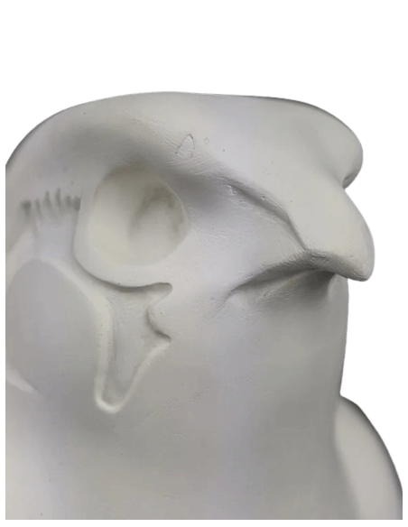 Statue of the god Horus protecting the Egyptian king Pharaoh Nectanebo II