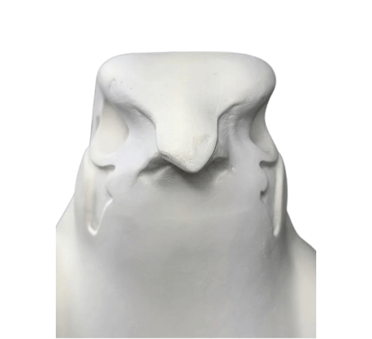 Statue of the god Horus protecting the Egyptian...