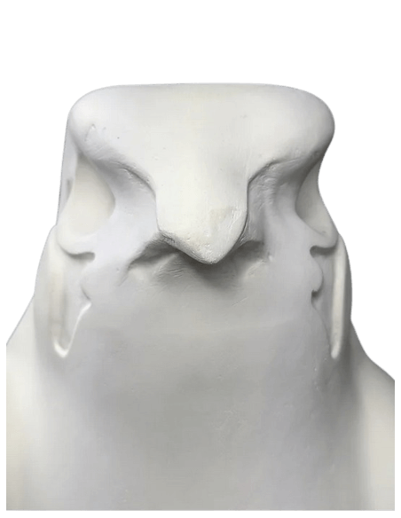 Statue of the god Horus protecting the Egyptian king Pharaoh Nectanebo II