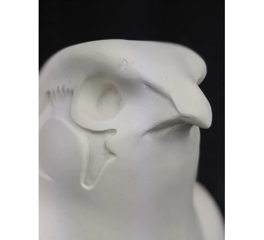 Statue of the god Horus protecting the Egyptian...