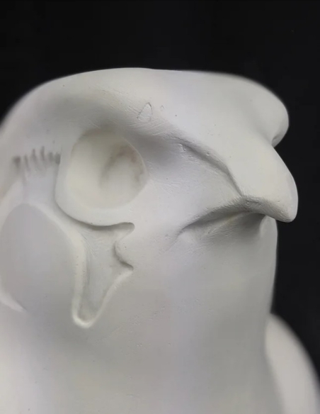 Statue of the god Horus protecting the Egyptian king Pharaoh Nectanebo II